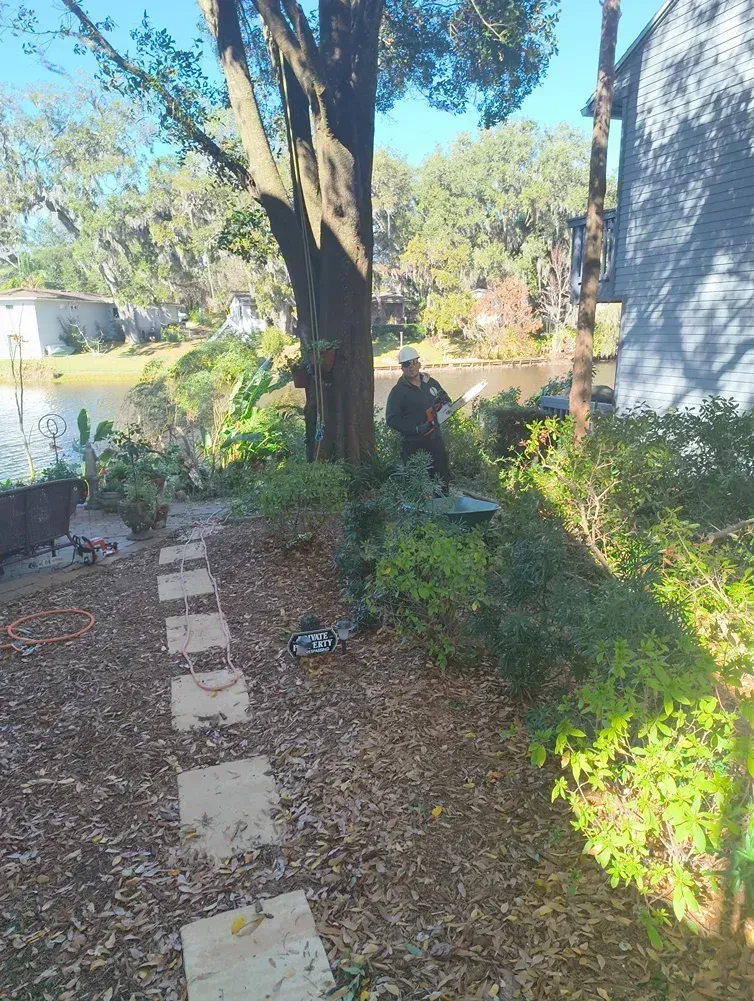 Garden path with stepping stones leading to a large tree and a seated person in the shade.
