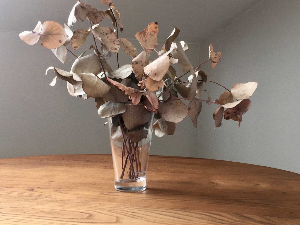 Dried eucalyptus branches in a glass vase on a wooden table.