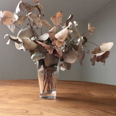 Dried eucalyptus branches in a clear glass vase on a wooden table.