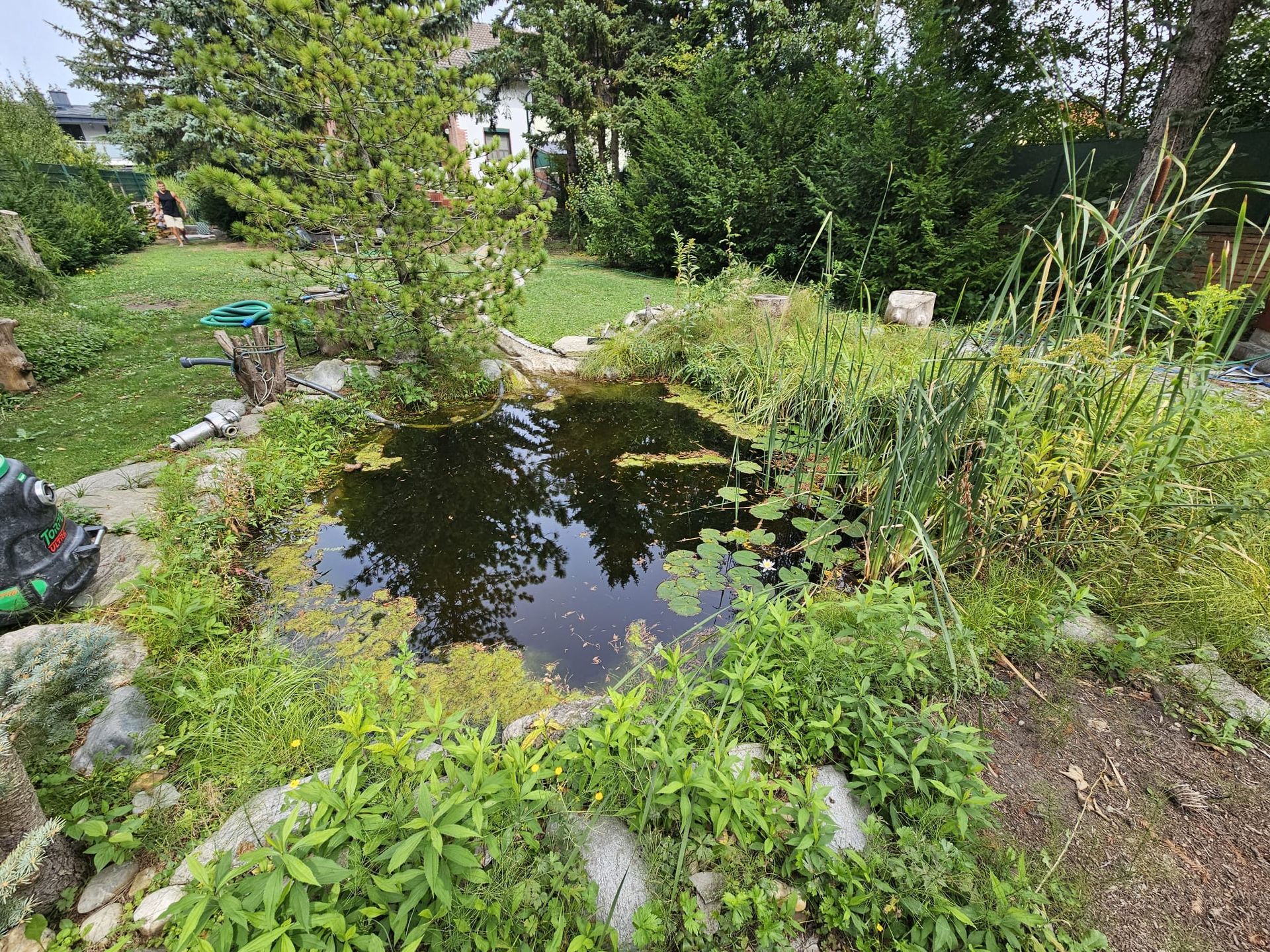 Ein quadratischer, mit Steinen ausgekleideter Gartenteich mit dunklem Wasser, umgeben von Felsen und Grünpflanzen.