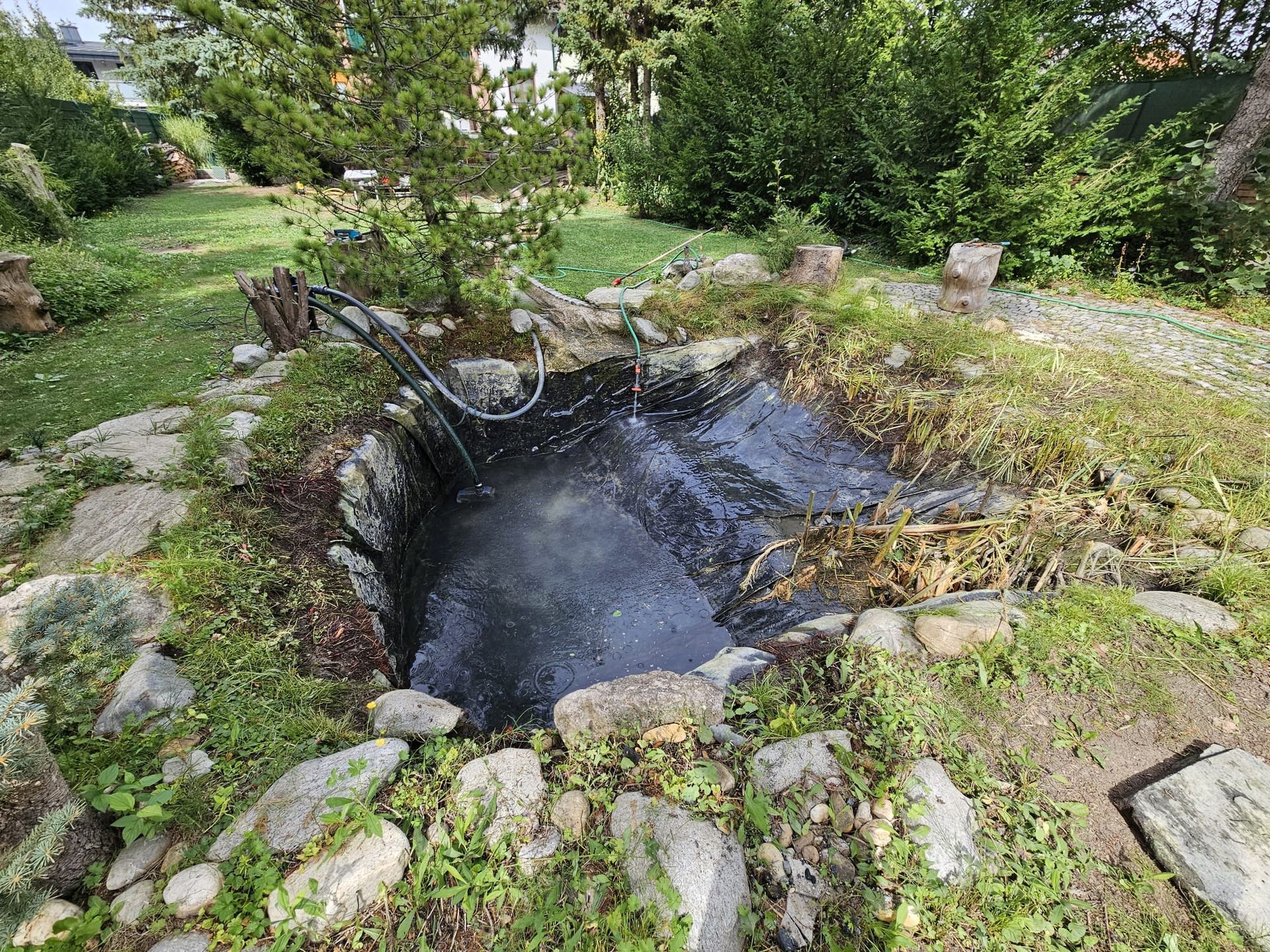 Ein kleiner, trüber Teich, umgeben von üppigen grünen Pflanzen und Steinen in einer Gartenanlage.