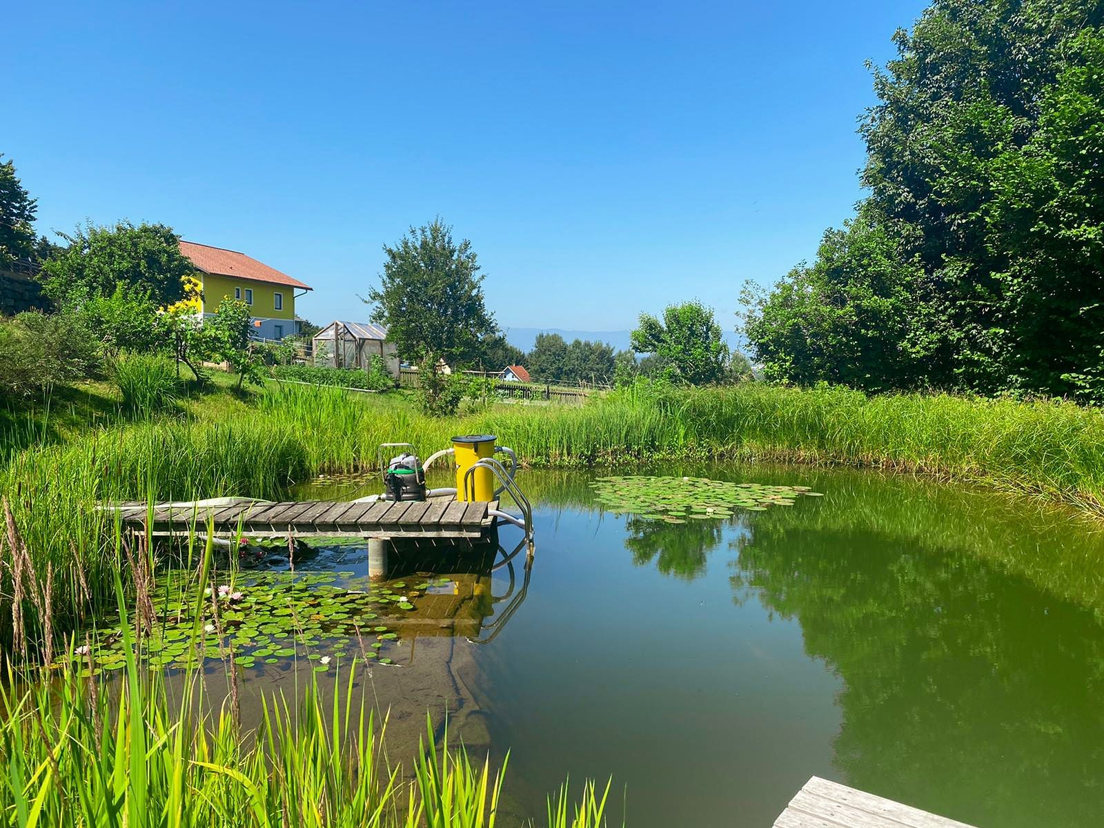 Zwei Personen an einem Holzsteg an einem Teich, grünes Wasser und Vegetation unter blauem Himmel.