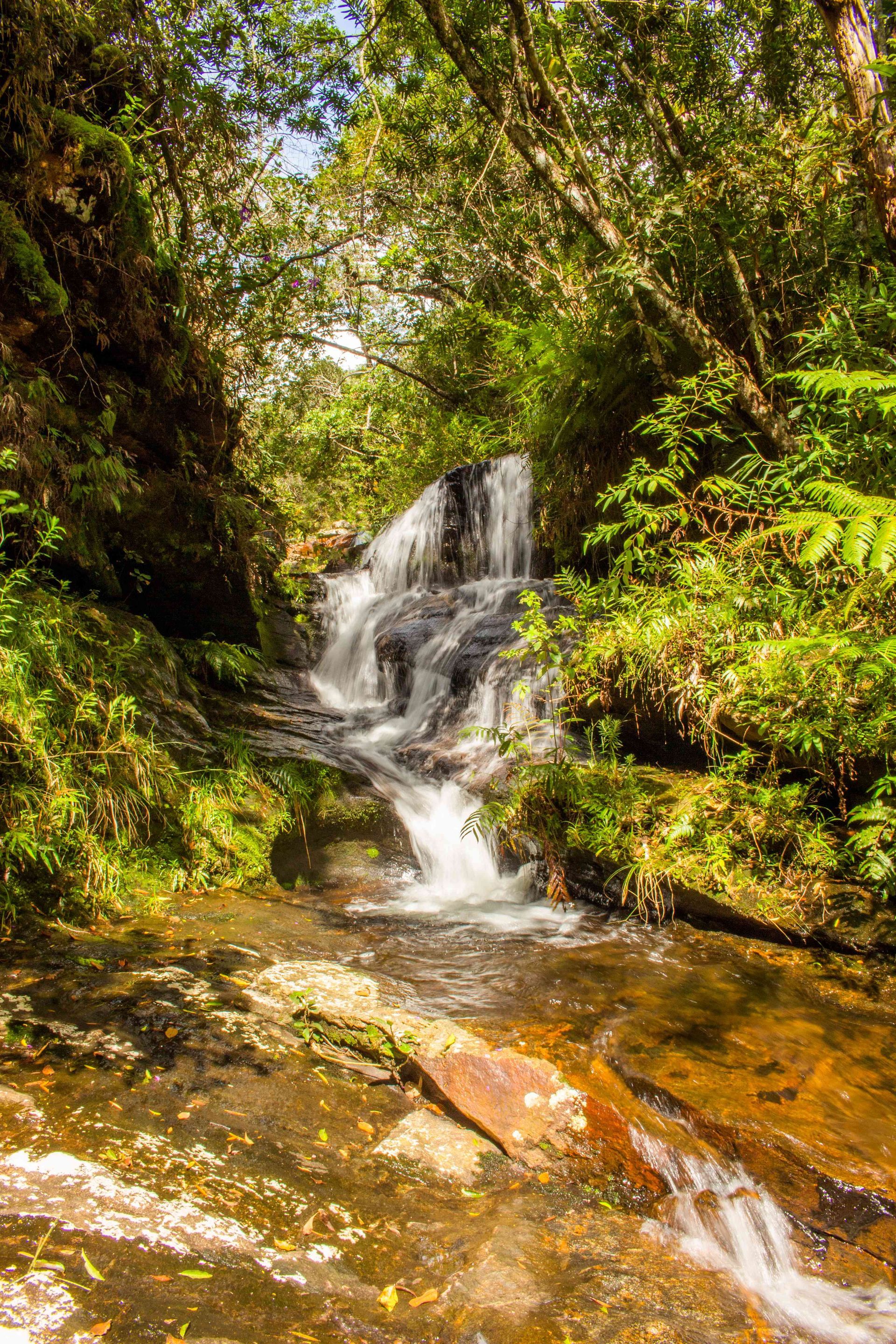 Uma pequena cachoeira de vários níveis flui por uma floresta verdejante e exuberante, com a luz do sol filtrando-se através das árvores.