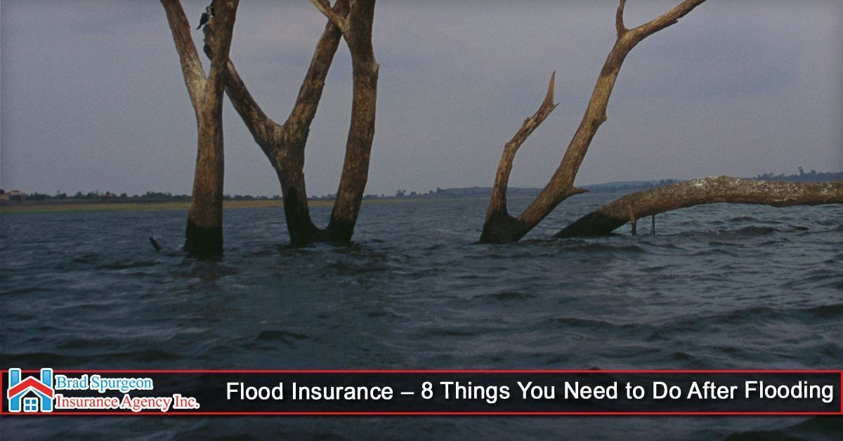 Dead trees standing in floodwaters