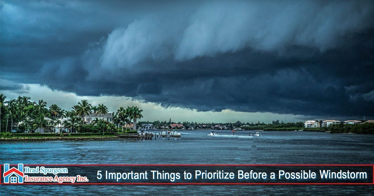 Dark, ominous storm clouds loom over a waterfront area with palm trees