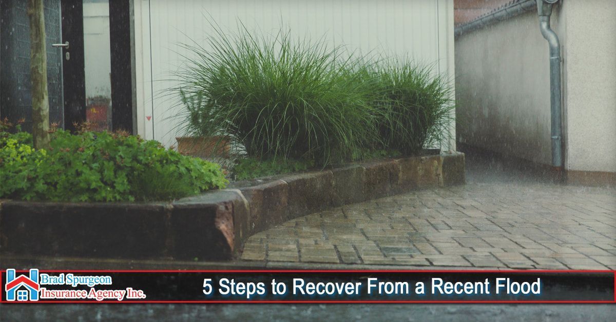 A patio with landscaping during rain