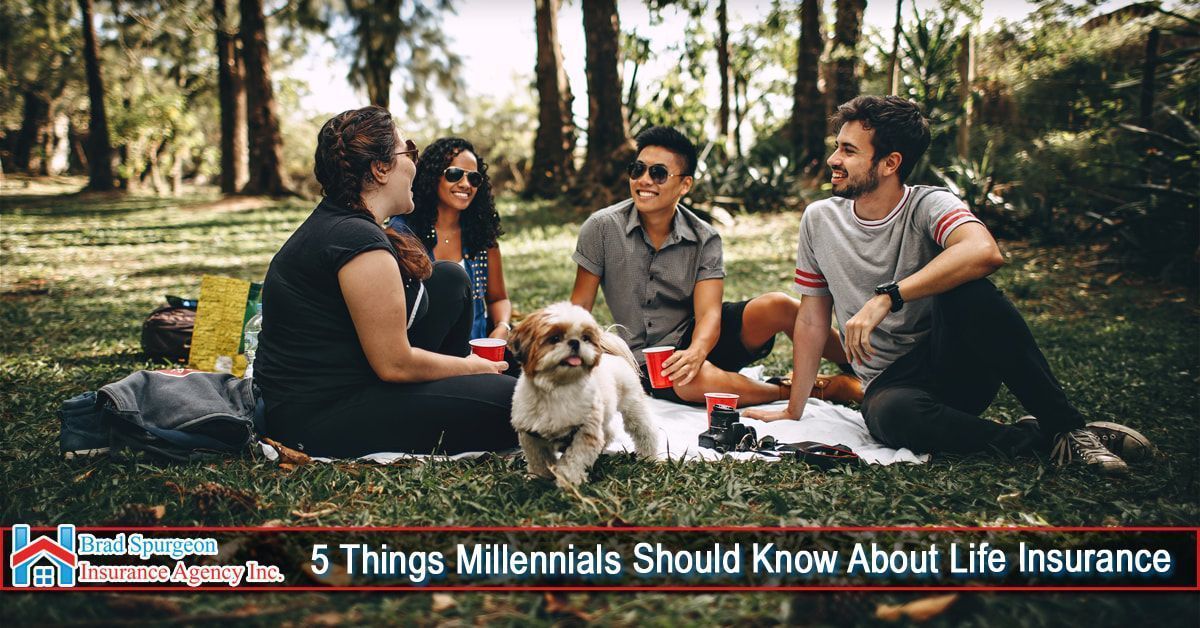 Four people sit on a blanket in a park with a dog