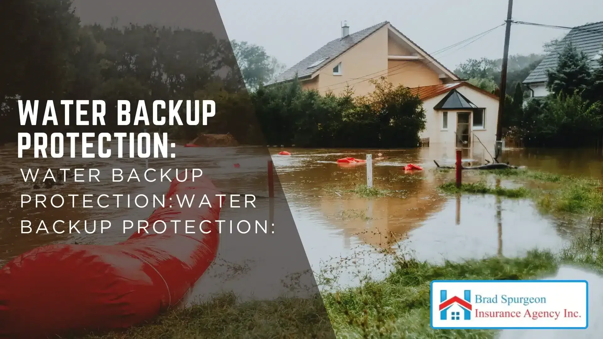 Water Backup Endorsement