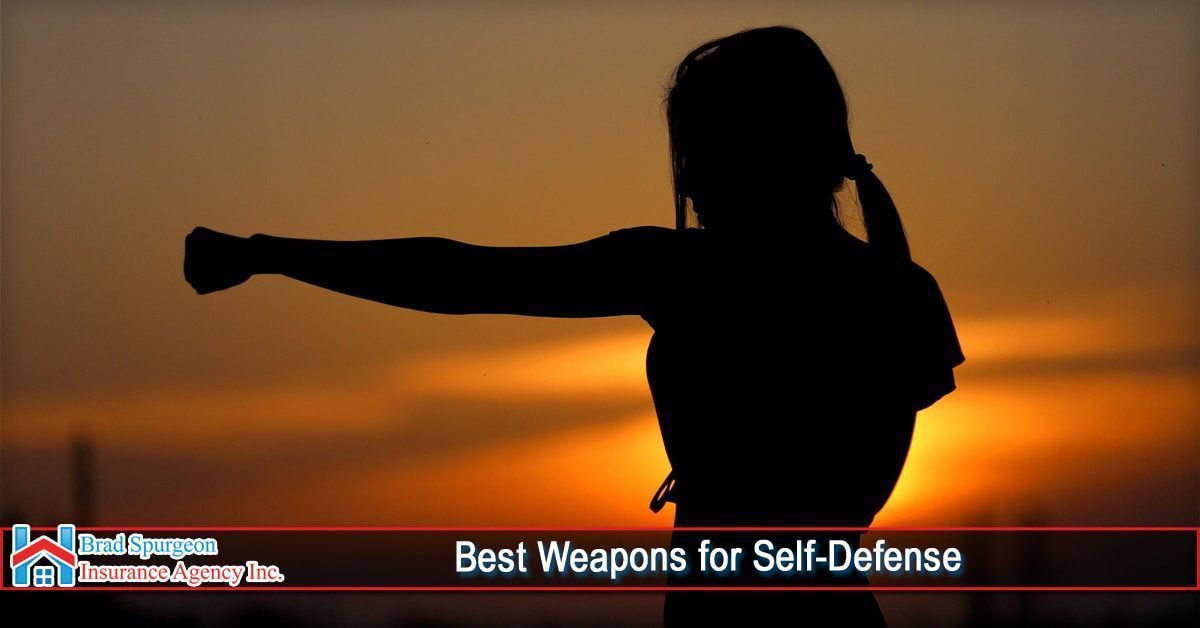 A silhouette of a person in a punching pose against a sunset background