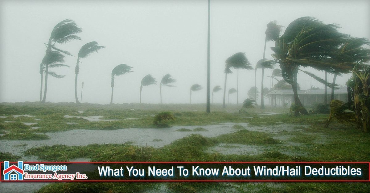 A storm scene with bending palm trees and heavy rain