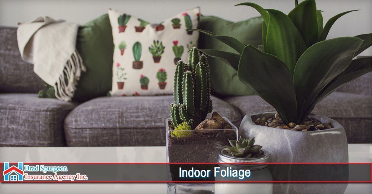 A potted cactus and succulent arrangement sit on a white table in front of a gray couch with patterned throw pillows.