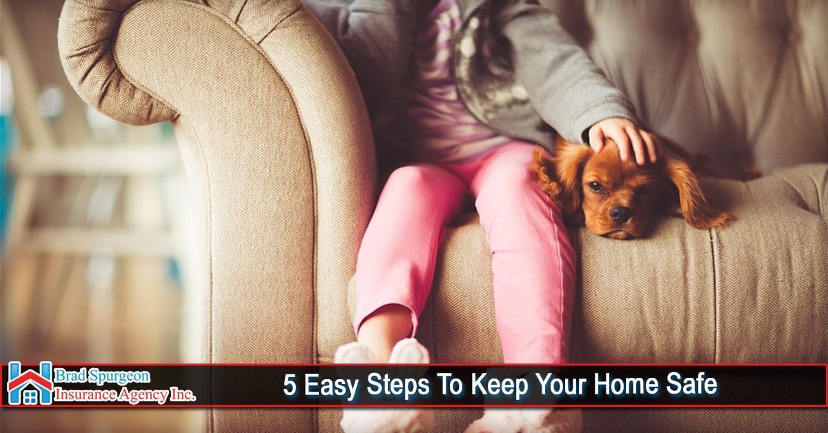 A person sits on a sofa petting a small brown dog