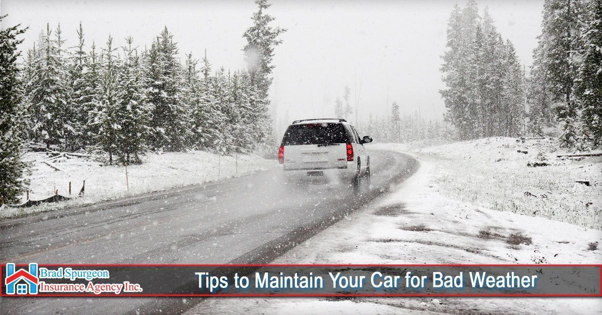 A white vehicle drives on a snowy road surrounded by trees