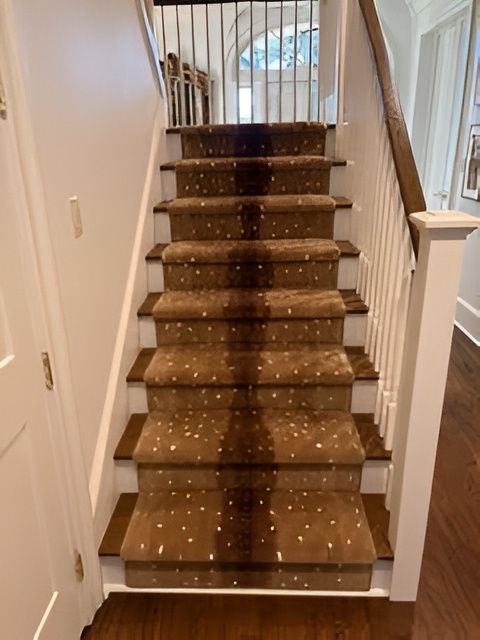 Stair Runner in a popular animal print