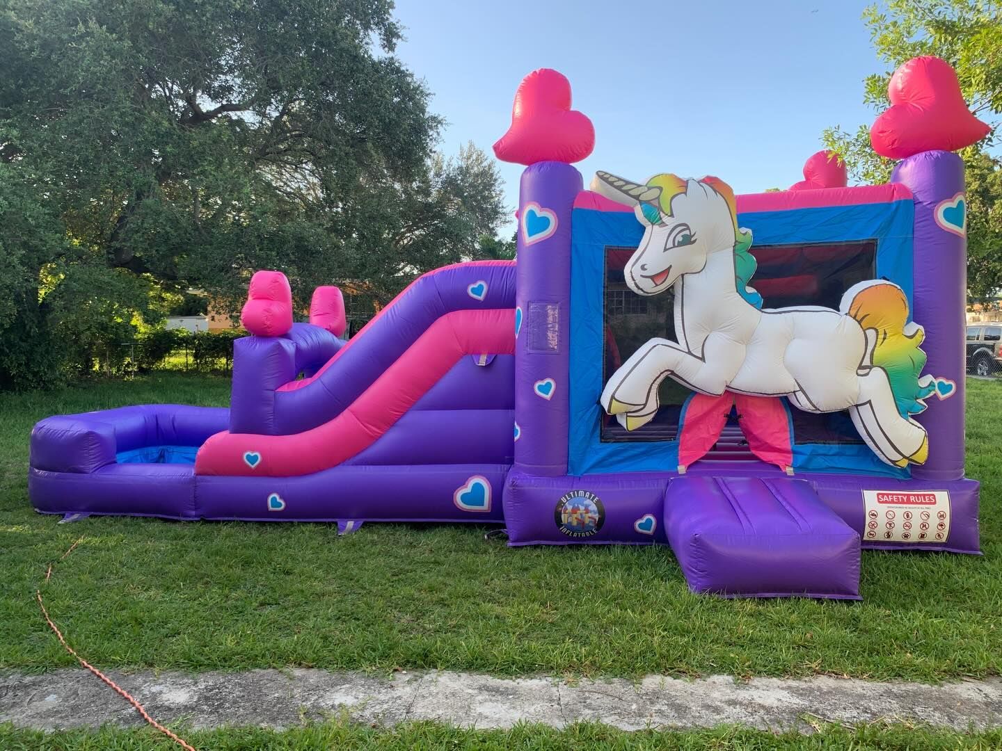 Purple and pink unicorn bounce house with slide on a grassy lawn, with trees in the background