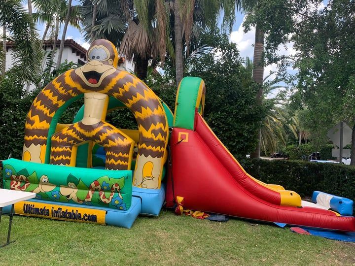 Inflatable jungle-themed bounce house with red slide in a palm-lined yard