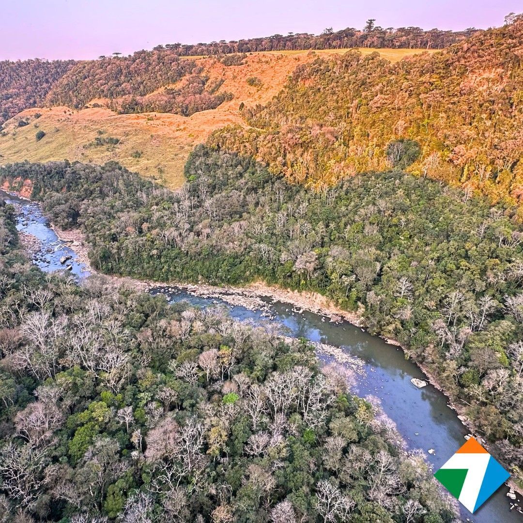 Rio que atravessa uma floresta verdejante e exuberante, com uma encosta ao fundo.