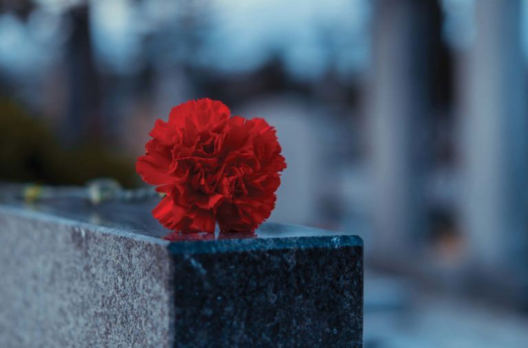 A red carnation is sitting on a gravestone in a cemetery.