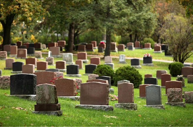 A cemetery filled with lots of graves and trees.