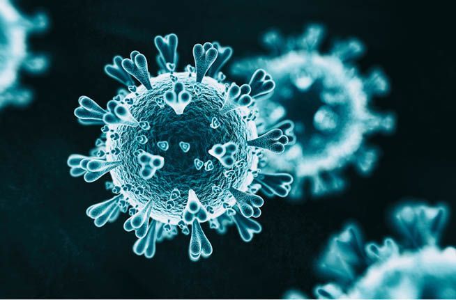 A close up of a virus on a dark background.