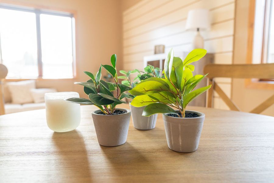 Three potted plants are sitting on a wooden table at O’Connell Family Funeral Homes