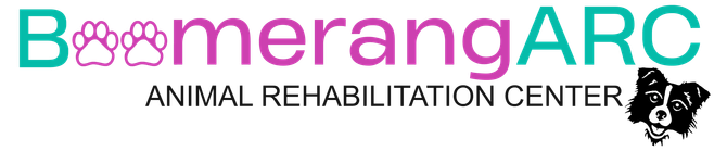Bomerang ARC Animal Rehabilitation Center logo with teal and pink text and a paw print icon