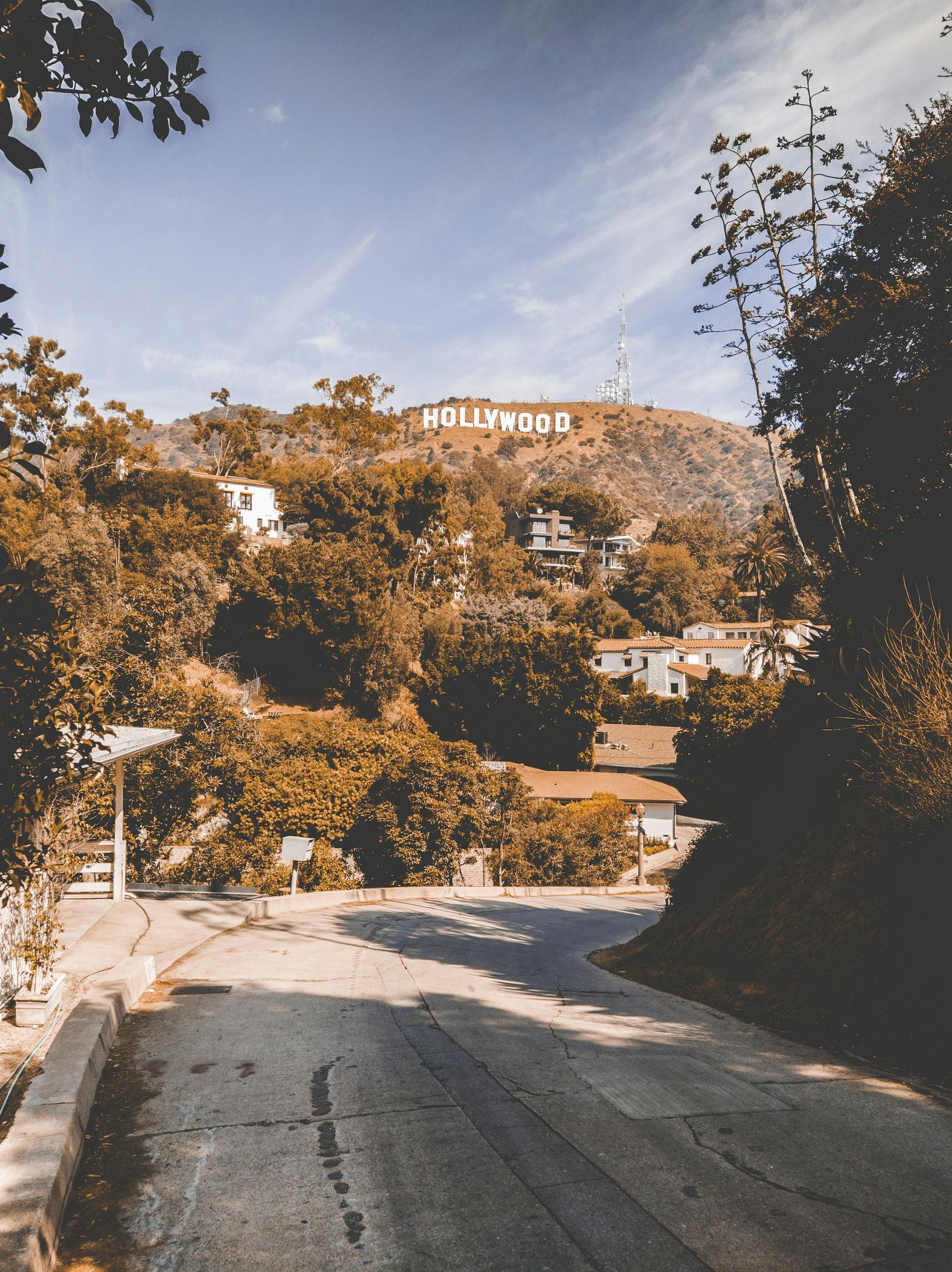 Hollywood sign atop a hill, viewed from a winding road lined with trees under a blue sky.
