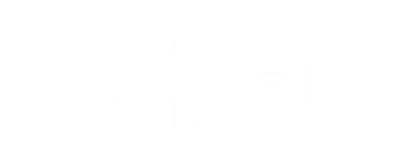 Mostly blank white image with a thin dark blue line near the bottom