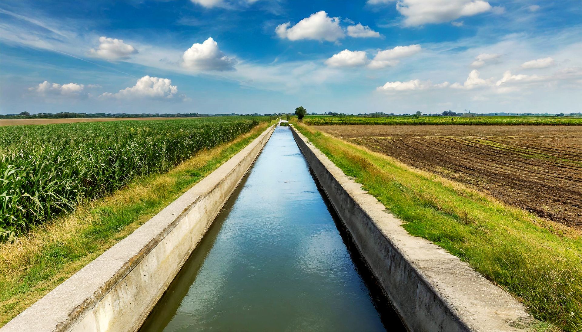 A concrete canal runs through a lush green field.