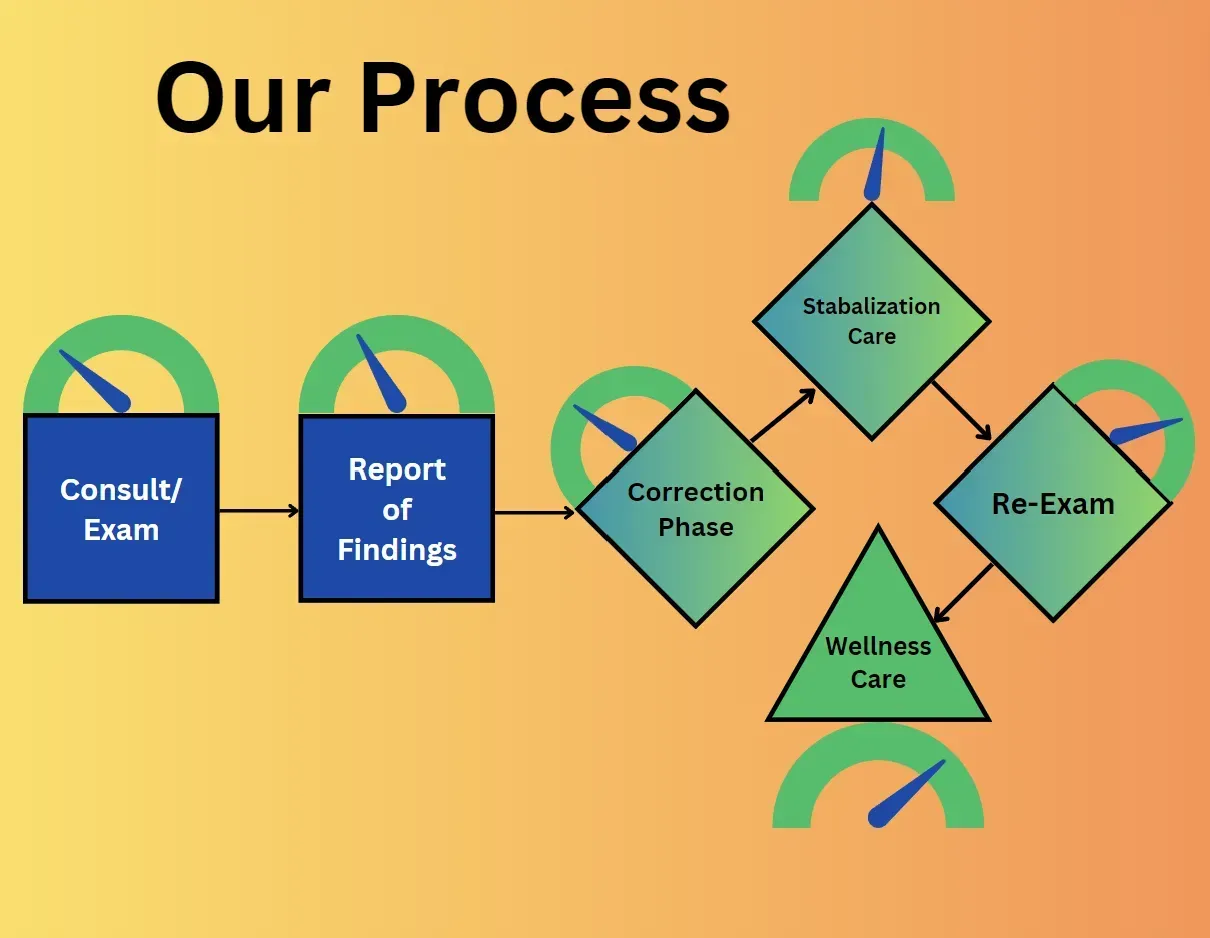 Our Process Diagrahm