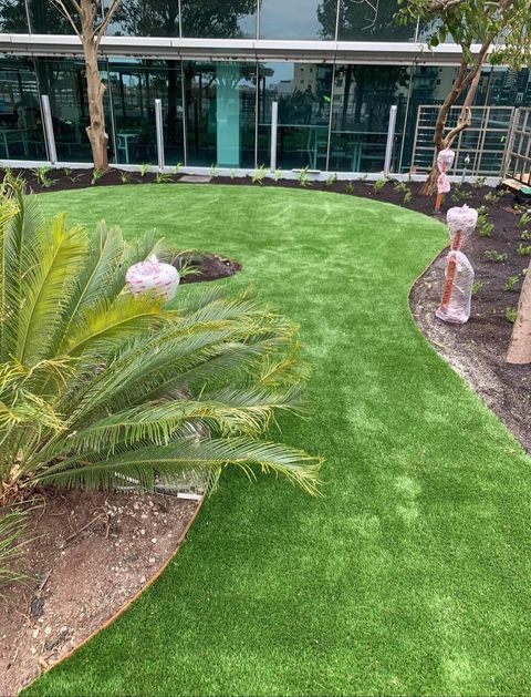 Green artificial turf pathway curves around a cycad plant bed, in front of a building with glass walls.