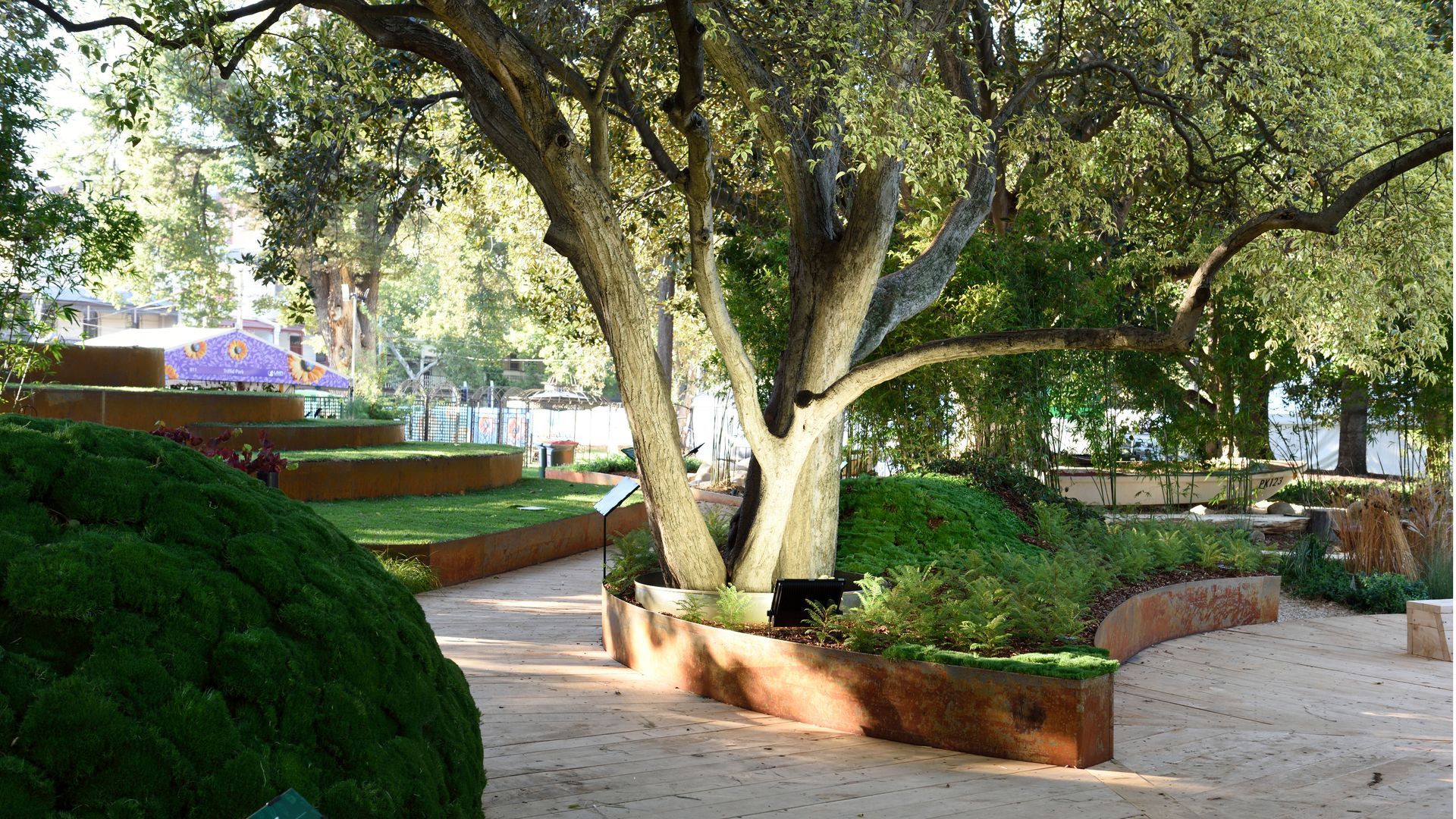 Park with large tree, terraced seating, and curved planters.