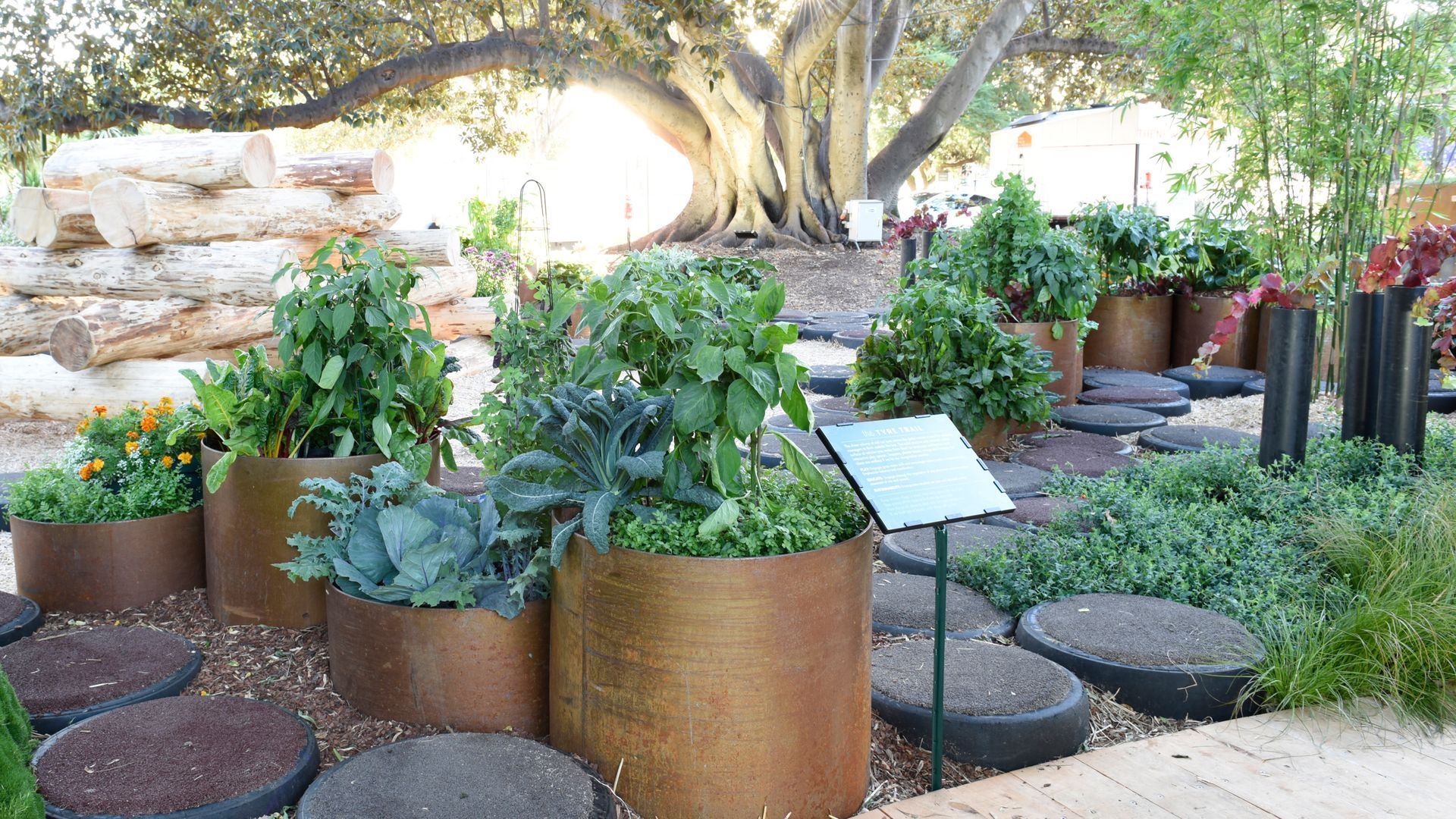 Garden display with potted plants, stepping stones, and a large tree in the background.