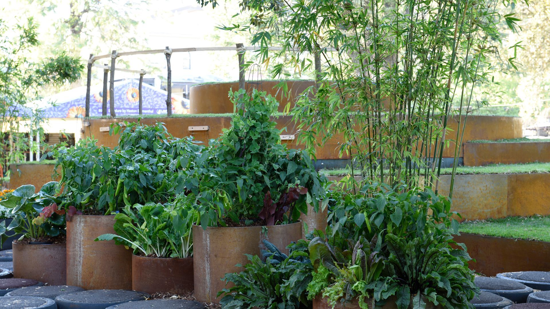 Multi-tiered garden bed with rusty metal retaining walls, lush greenery, and bamboo stalks.