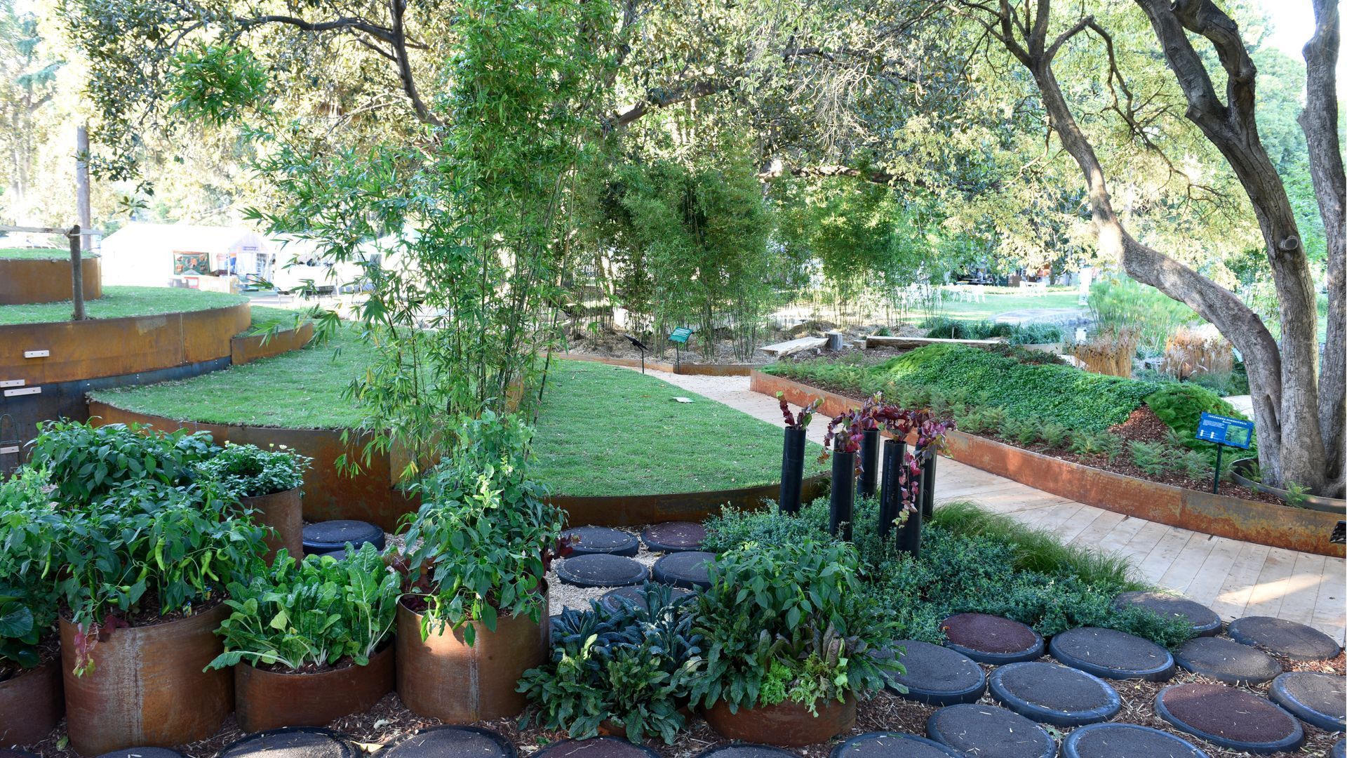Garden with metal planters, stepping stones, and layered greenery under a tree.