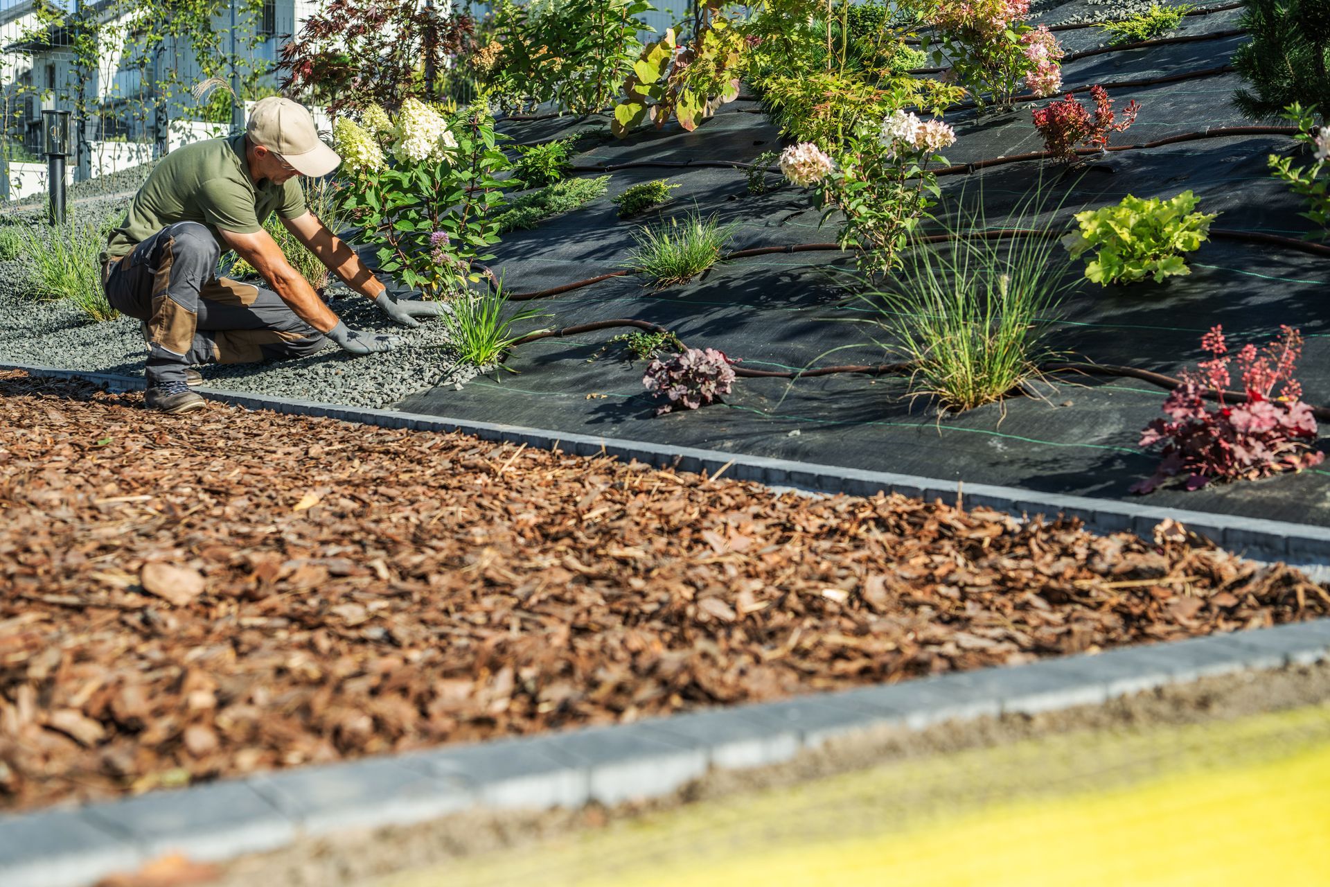 A gardener is covering a drip irrigation system & plants with small rocks & mulch in the foreground. A gardener is covering a drip irrigation system & plants with small rocks & mulch in the foreground.