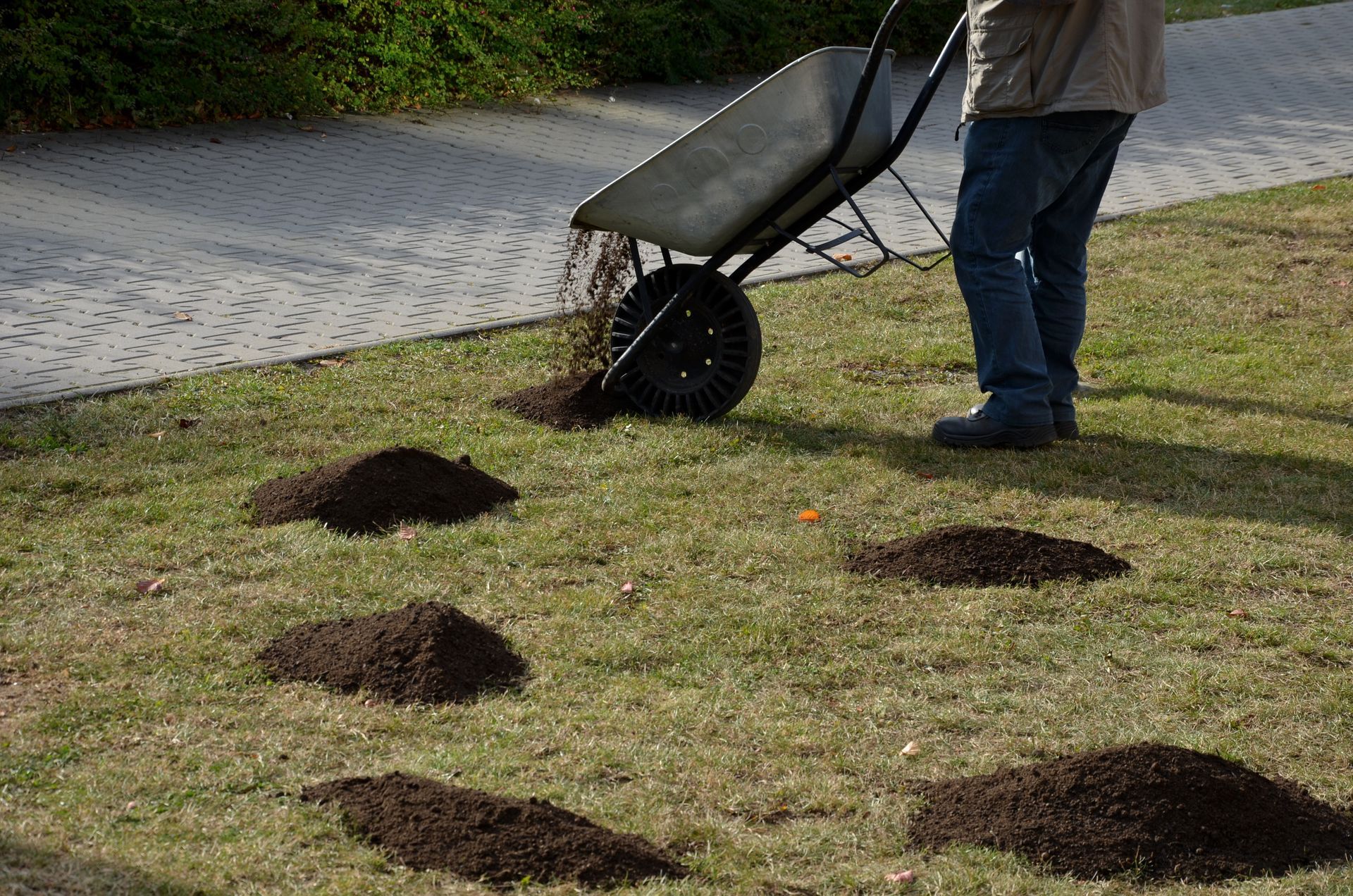 A gardener prepares to repair a damaged lawn by bringing piles of topsoil.