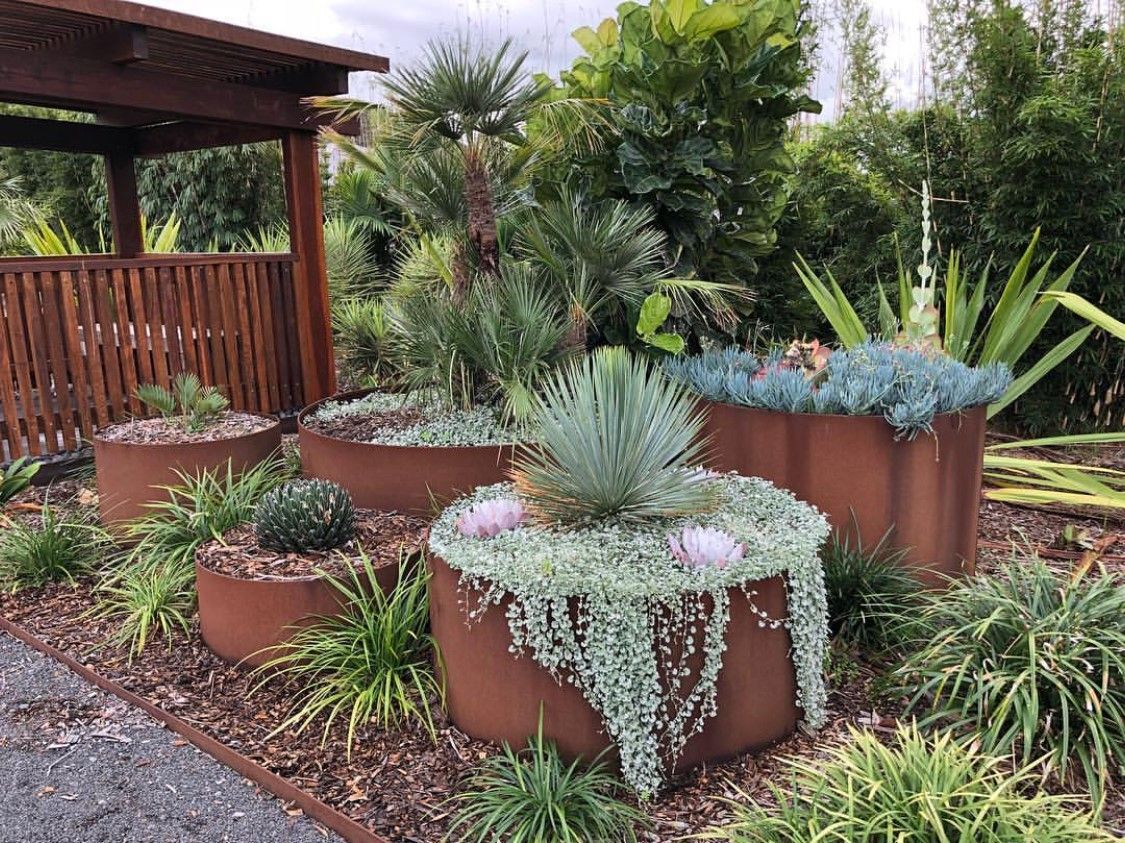 A garden with various succulents in rusty metal planters, under a wooden structure.