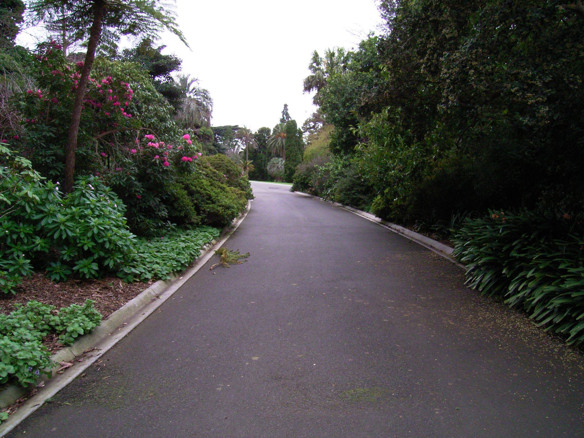 Asphalt path through lush green gardens under an overcast sky.