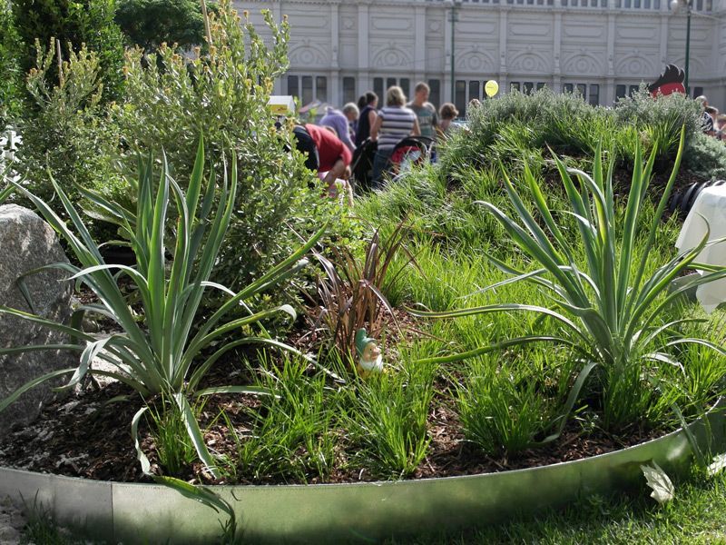 Childrens Garden