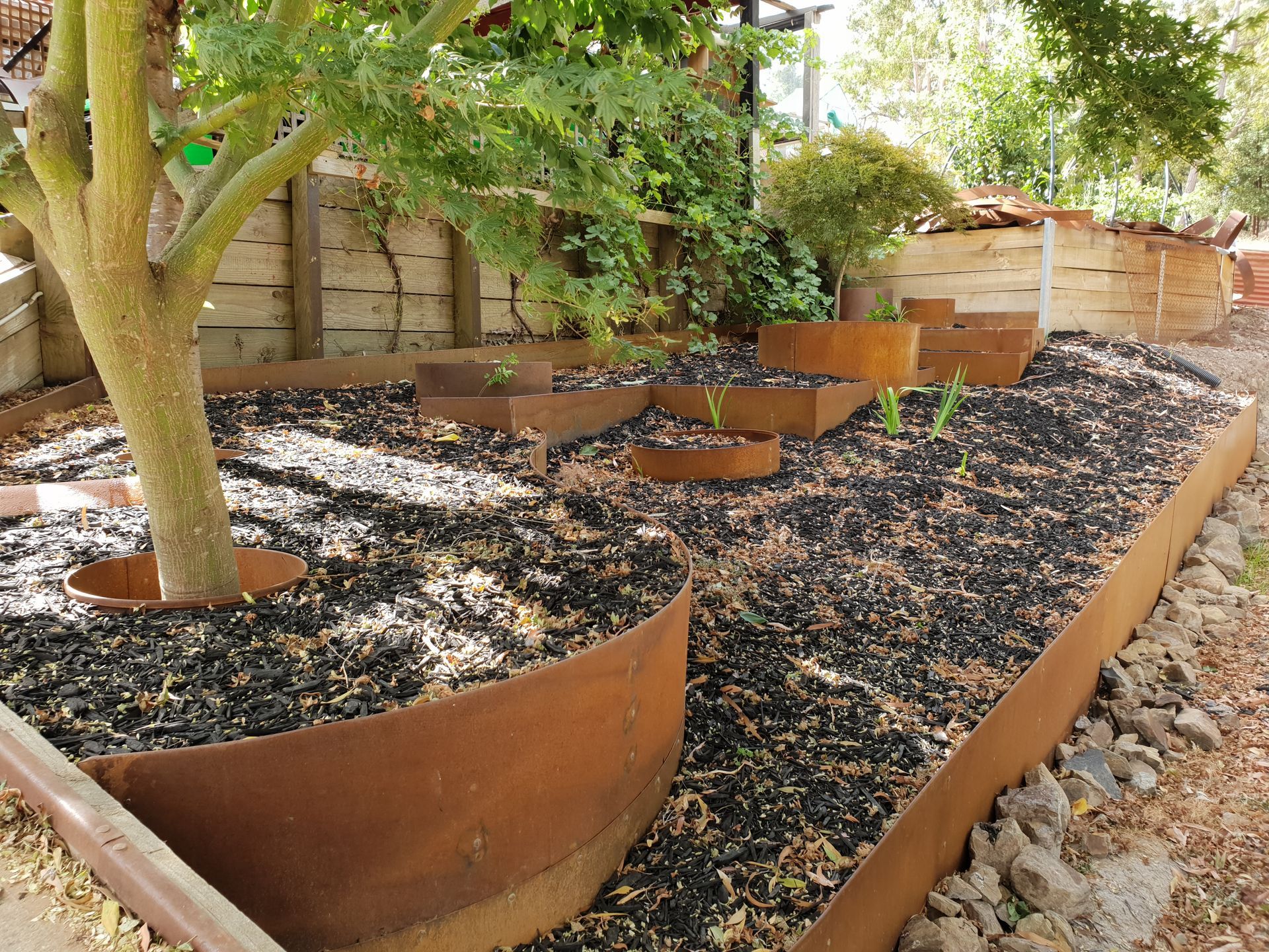 Garden bed with rusty metal edging and tree trunk, filled with black mulch, and new plants.