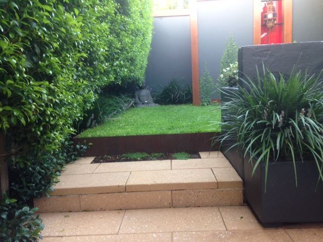 Stone steps leading up to a small lawn enclosed by green hedges and a modern planter.