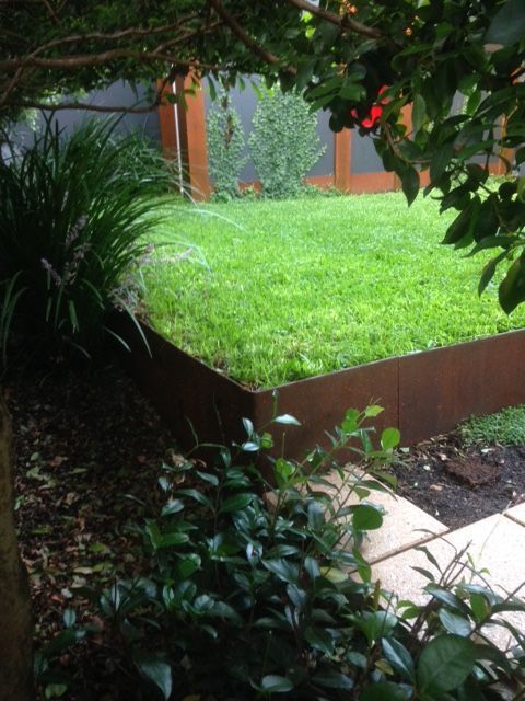 Lush green lawn framed by a rusted metal border, viewed from under greenery, with a dark fence in the background.