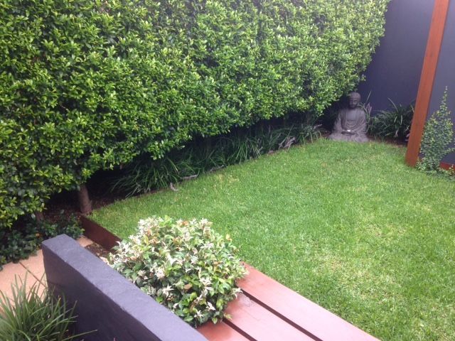 Green lawn, hedge, and garden with a seated Buddha statue.