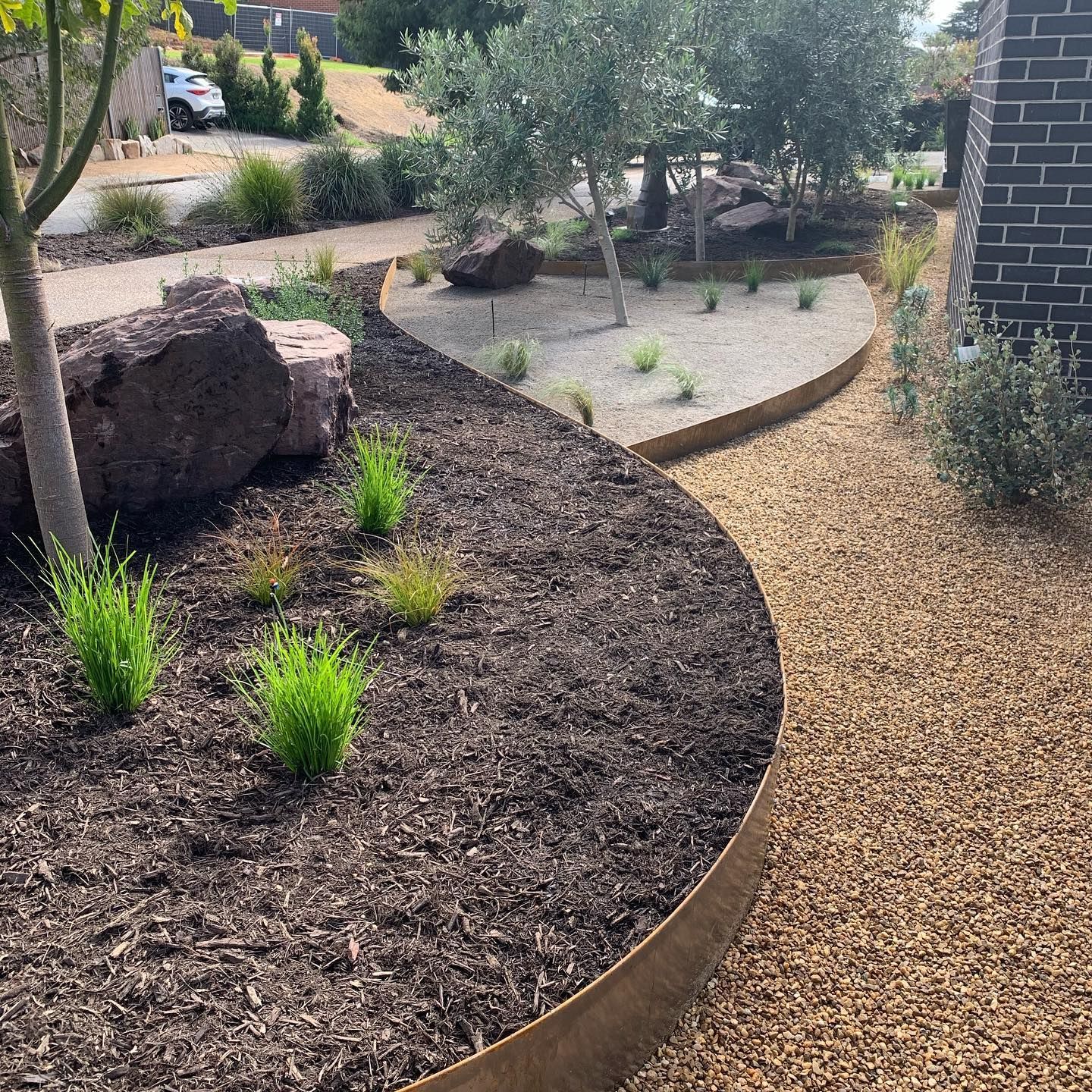 Curved garden beds with dark mulch, tan gravel path, and olive trees.