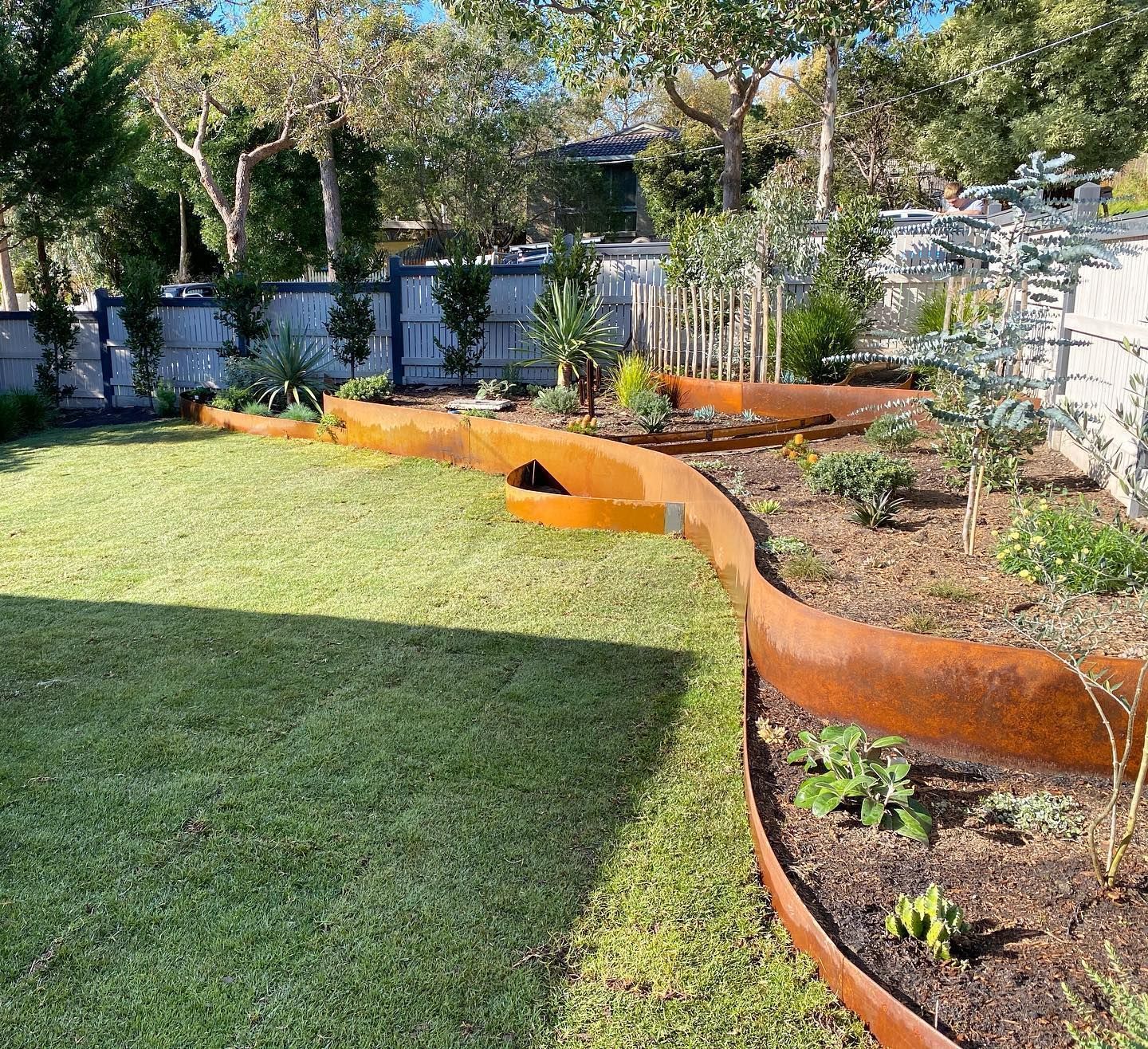 A landscaped backyard featuring wavy, rusted metal edging separating grass and garden beds.
