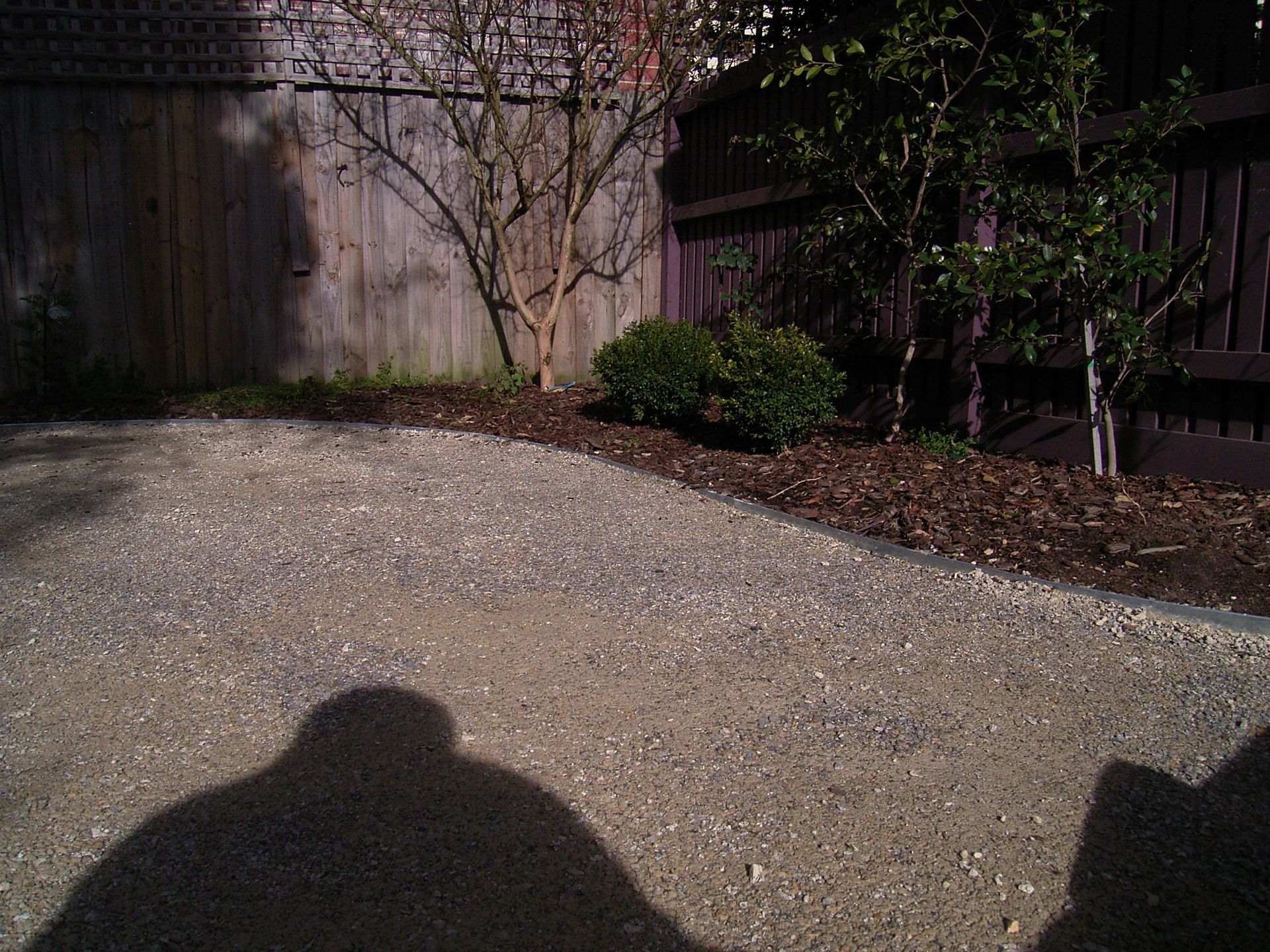 Gravel driveway next to a wooden fence and small trees. Shadow of a person in the foreground.