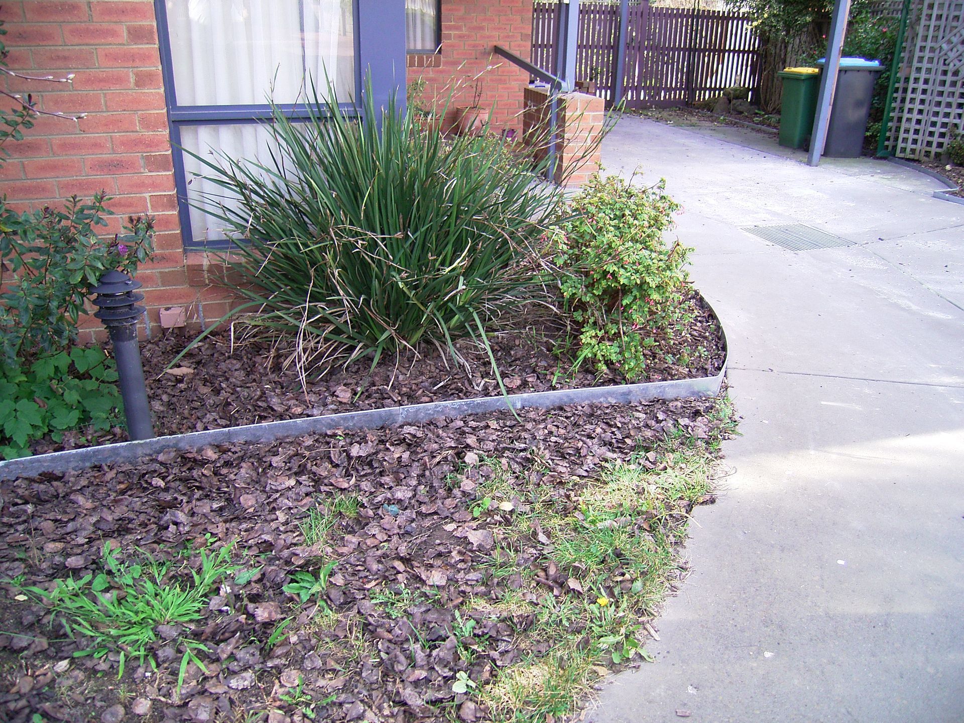 A garden bed with green plants, mulch, and a metal border next to a concrete walkway.