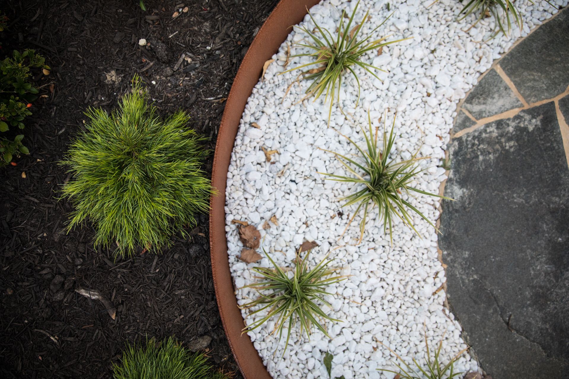 Garden bed with white pebbles, plants, dark soil, and stone pathway.