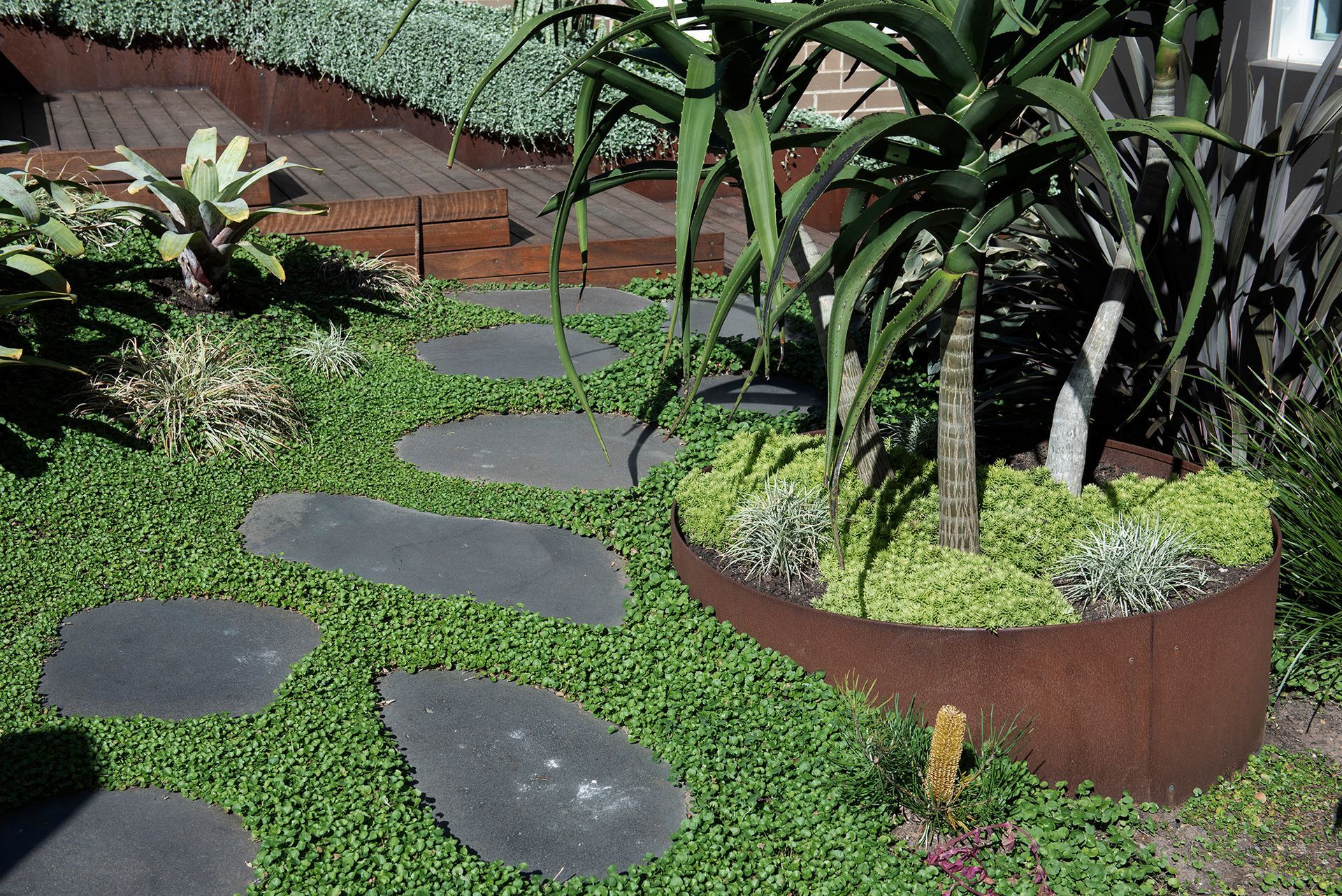 Stone path winds through a green garden with aloe plants in a curved, rust-colored container.